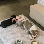 Giulietta E Romeo ***s 3* Βερόνα
