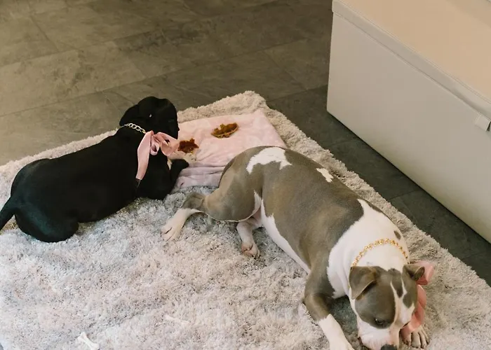 Giulietta E Romeo ***s 3* ורונה