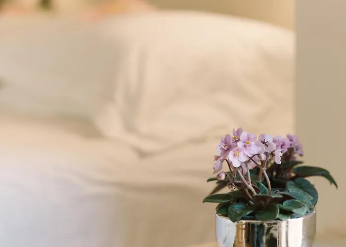 호텔 Giulietta E Romeo ***s 베로나